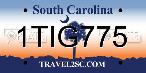 1TIG775 South Carolina License Plate