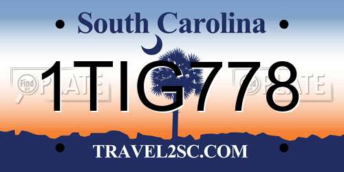 1TIG778 South Carolina License Plate