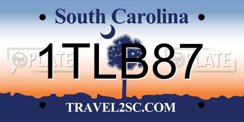 1TLB87 South Carolina License Plate