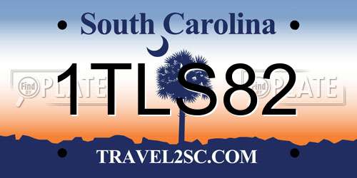 1TLS82 South Carolina License Plate