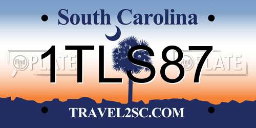 1TLS87 South Carolina License Plate