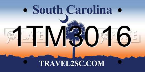 1TM3016 South Carolina License Plate