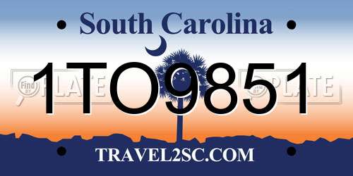1TO9851 South Carolina License Plate