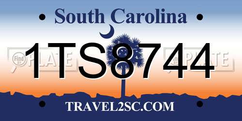 1TS8744 South Carolina License Plate