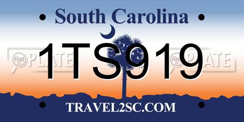 1TS919 South Carolina License Plate