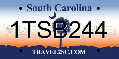 1TSB244 South Carolina License Plate