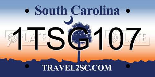 1TSG107 South Carolina License Plate