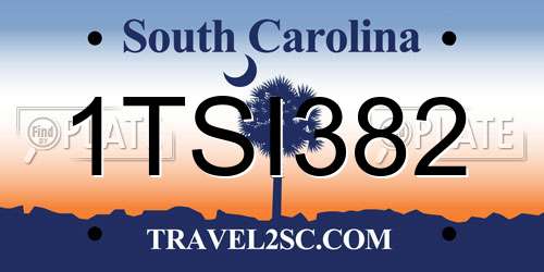 1TSI382 South Carolina License Plate