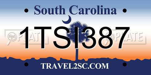 1TSI387 South Carolina License Plate