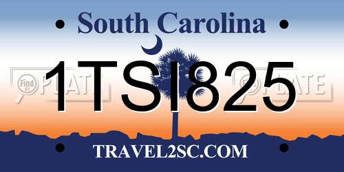 1TSI825 South Carolina License Plate
