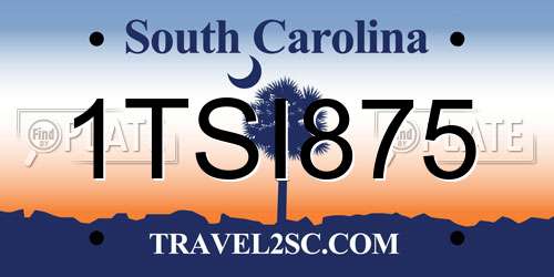 1TSI875 South Carolina License Plate