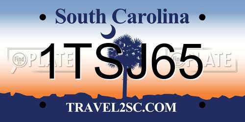 1TSJ65 South Carolina License Plate