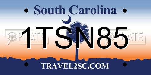 1TSN85 South Carolina License Plate
