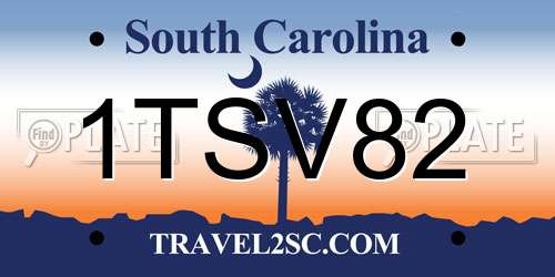 1TSV82 South Carolina License Plate
