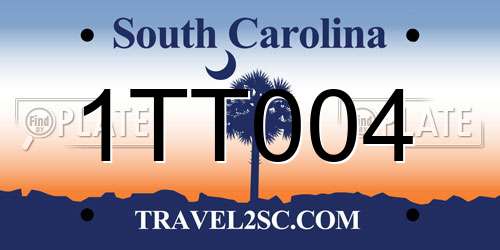 1TT004 South Carolina License Plate