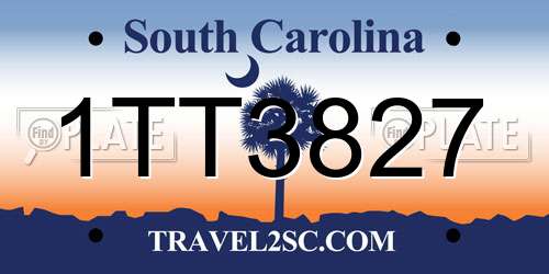 1TT3827 South Carolina License Plate