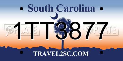 1TT3877 South Carolina License Plate