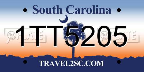 1TT5205 South Carolina License Plate