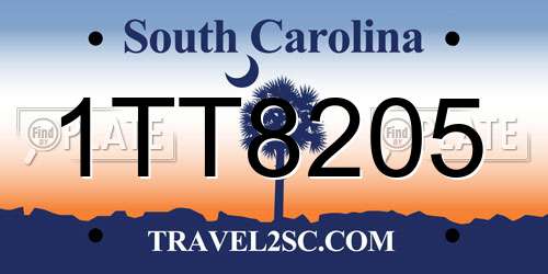 1TT8205 South Carolina License Plate