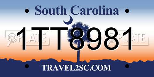 1TT8981 South Carolina License Plate