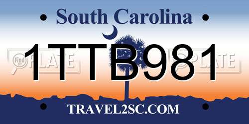 1TTB981 South Carolina License Plate