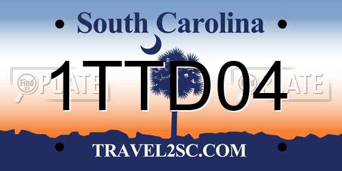 1TTD04 South Carolina License Plate