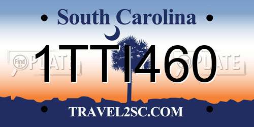 1TTI460 South Carolina License Plate