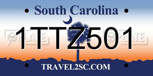 1TTZ501 South Carolina License Plate