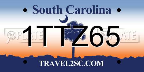1TTZ65 South Carolina License Plate