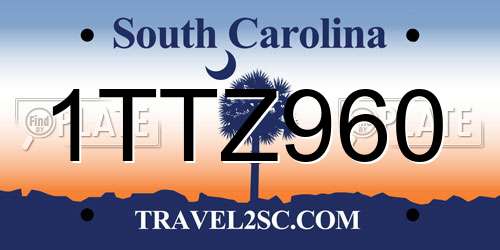 1TTZ960 South Carolina License Plate