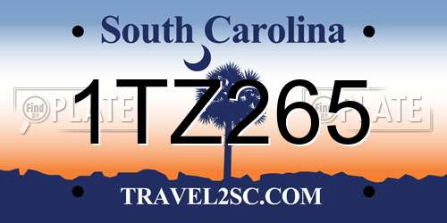 1TZ265 South Carolina License Plate