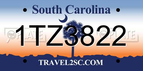 1TZ3822 South Carolina License Plate