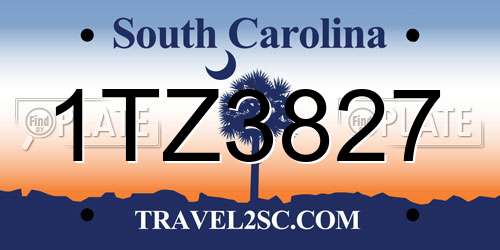 1TZ3827 South Carolina License Plate