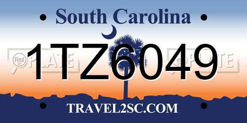1TZ6049 South Carolina License Plate