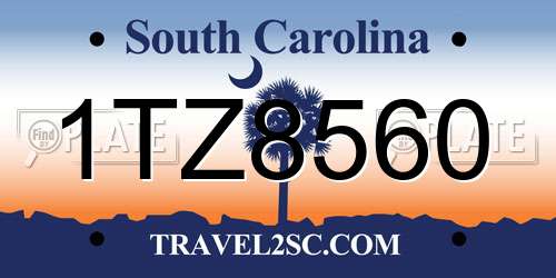 1TZ8560 South Carolina License Plate