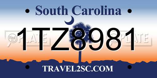 1TZ8981 South Carolina License Plate