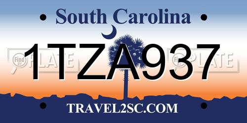 1TZA937 South Carolina License Plate