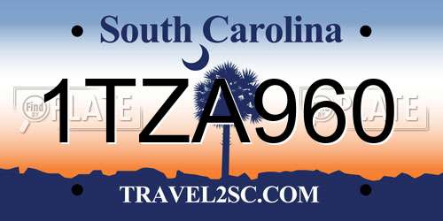 1TZA960 South Carolina License Plate