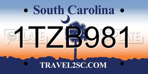 1TZB981 South Carolina License Plate