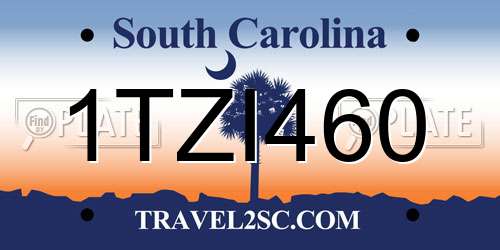 1TZI460 South Carolina License Plate