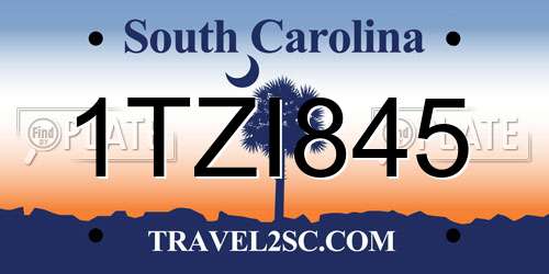 1TZI845 South Carolina License Plate