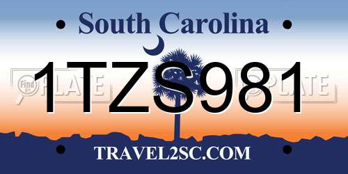 1TZS981 South Carolina License Plate
