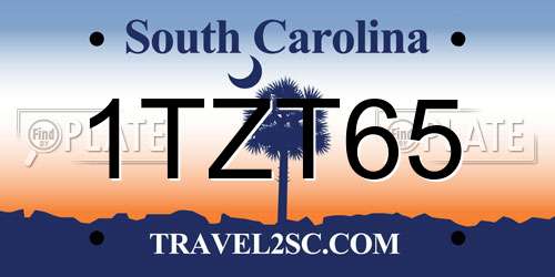 1TZT65 South Carolina License Plate