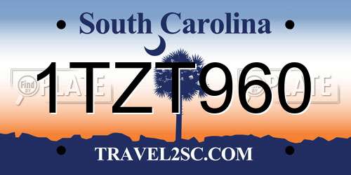 1TZT960 South Carolina License Plate