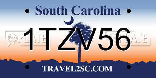 1TZV56 South Carolina License Plate