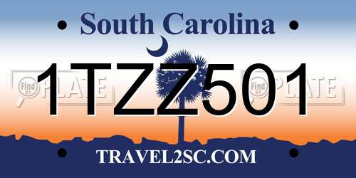1TZZ501 South Carolina License Plate