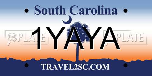 1YAYA South Carolina License Plate