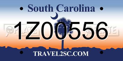 1Z00556 South Carolina License Plate