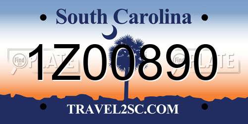 1Z00890 South Carolina License Plate