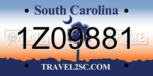 1Z09881 South Carolina License Plate